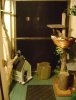Cat porch.jpg
