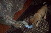 100_2242.JPG