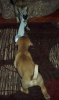 100_2244.JPG
