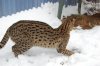DSC_0021.JPG