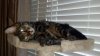 2012-02-15_16-45-53_41.jpg