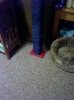 catwalk-12.jpg