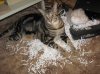 Wasn'tMe!.jpg