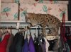 Akilah in the closet.jpg