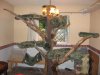 Tree2.jpg