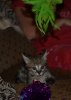 George 8 weeks 1st day 1 resize.jpg