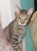DSCF6598.jpg
