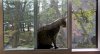 zuri-window-web.jpg