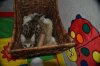 resize 8 weeks 2.jpg