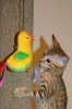 IMG_0304.JPG