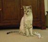 DSCN2231_1025x900.jpg DSCN2231_1025x900.jpg