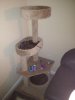 Cat Tree.jpg