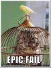 cat_bird_fail[2].jpg