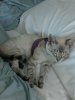 IMG_20130925_141641.jpg