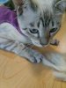 IMG_20130925_130308.jpg