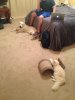 IMG_0637.jpg IMG_0637.jpg