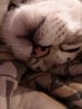 IMG_20130928_185841.jpg