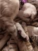 IMG_20130928_185837.jpg