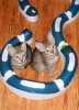 101113-orion-inara_web.jpg