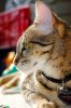 DSC_0456.jpg DSC_0456.jpg