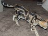 DSCN2448.JPG