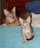 101913-inara-6_web.jpg