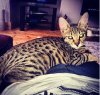 holtby 15 weeks.jpg