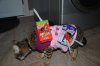 DSC_0481.JPG