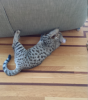 2013-10-30_1148.png