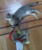 2013-10-30_1146.png