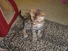 DSCF0416.JPG