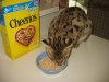 IMG_0111.JPG