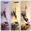 CatRope.jpg