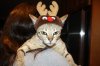 IMG_6437.JPG