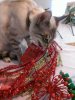 IMG_20131121_130424.jpg