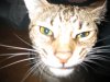 xumi selfie 8-31-12.jpg