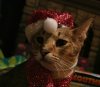 DSC_0100.jpg