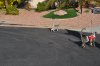 DSC_0228.JPG