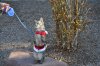 DSC_0275.JPG