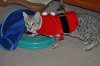 DSC_0425.JPG