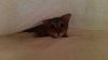 20131113_142333.jpg