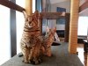 20131220_094427.jpg