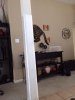 ImageUploadedByTapatalk 21388875974.548040.jpg ImageUploadedByTapatalk 21388875974.548040.jpg