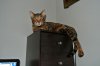 Jan20-14-DSC_1718-office.jpg