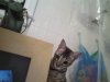 IMG_20130920_215007.jpg