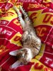 Zahra_Upside Down_Resize.jpg