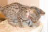 Resize of DSC_0048.JPG