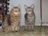 rafiki and jammu 2.jpg