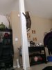 ImageUploadedByTapatalk 21391882418.877971.jpg