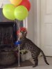 ImageUploadedByTapatalk 21392245618.787110.jpg